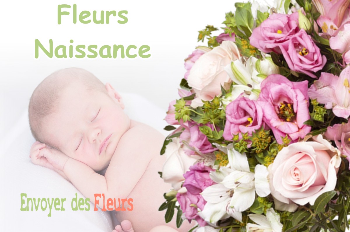 lIVRAISON FLEURS NAISSANCE à SAINT-LAURENT-DU-VAR